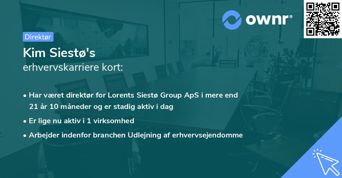 Kim Siestø's erhvervskarriere kort