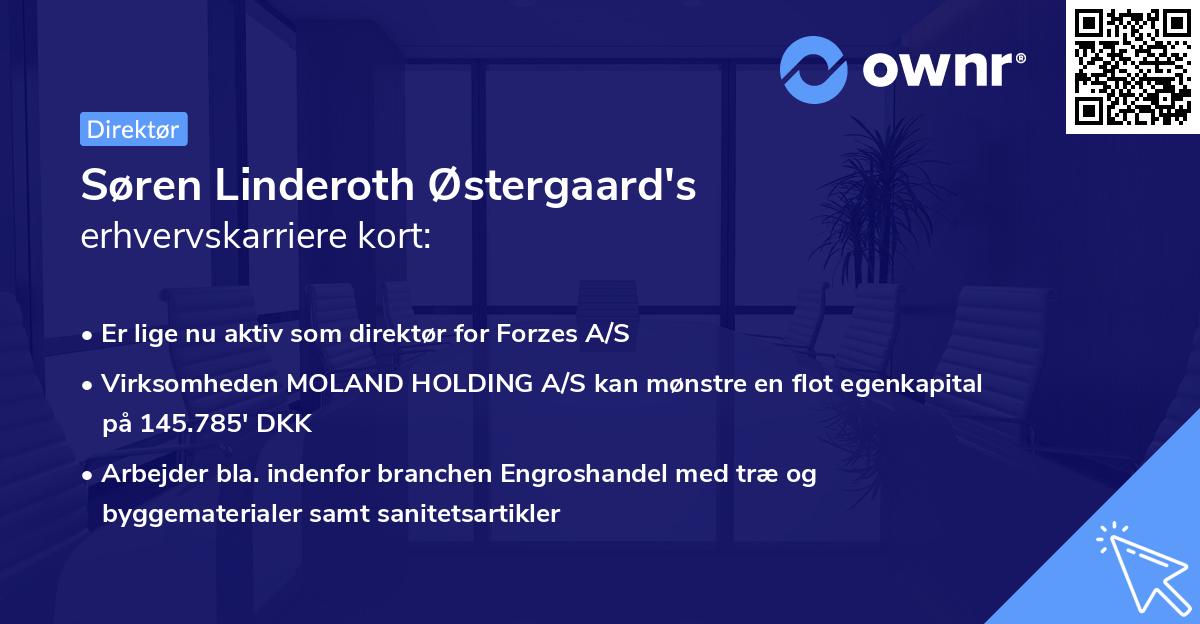 Søren Linderoth Østergaard's erhvervskarriere kort