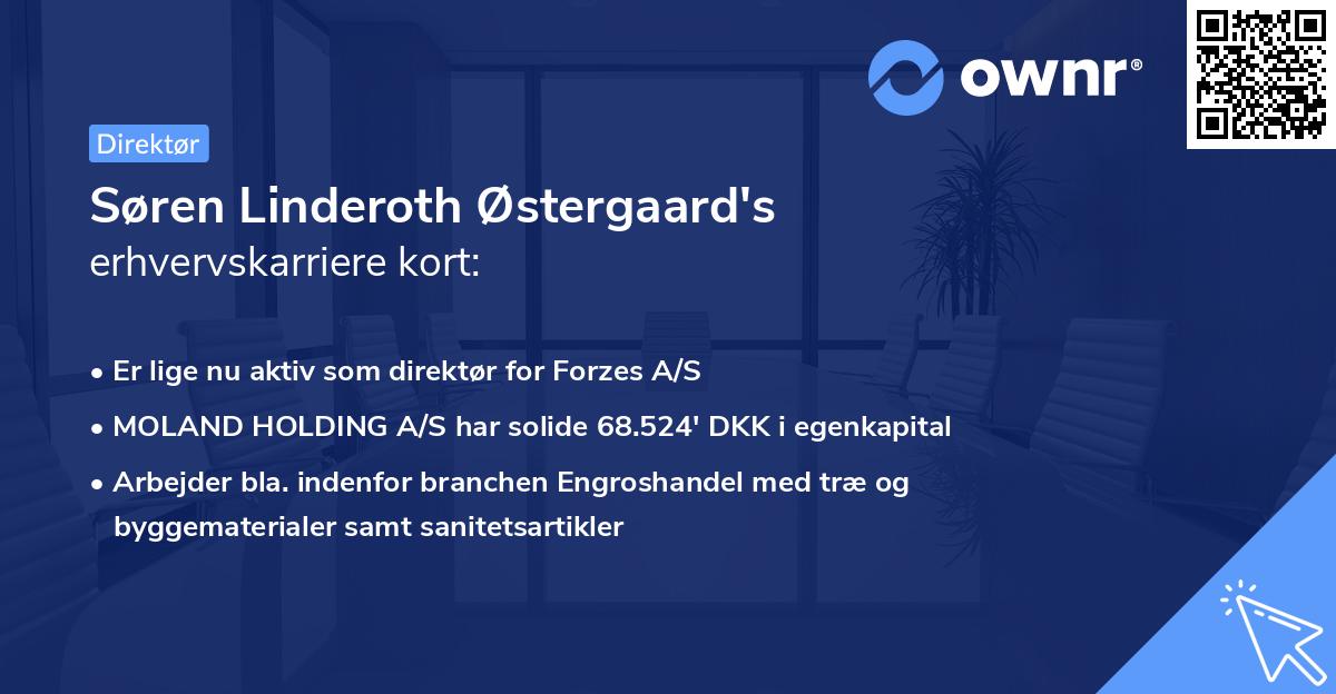 Søren Linderoth Østergaard's erhvervskarriere kort