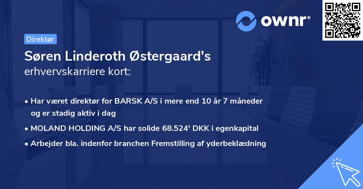 Søren Linderoth Østergaard's erhvervskarriere kort
