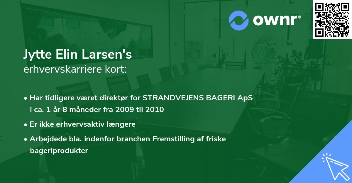 Jytte Elin Larsen's erhvervskarriere kort