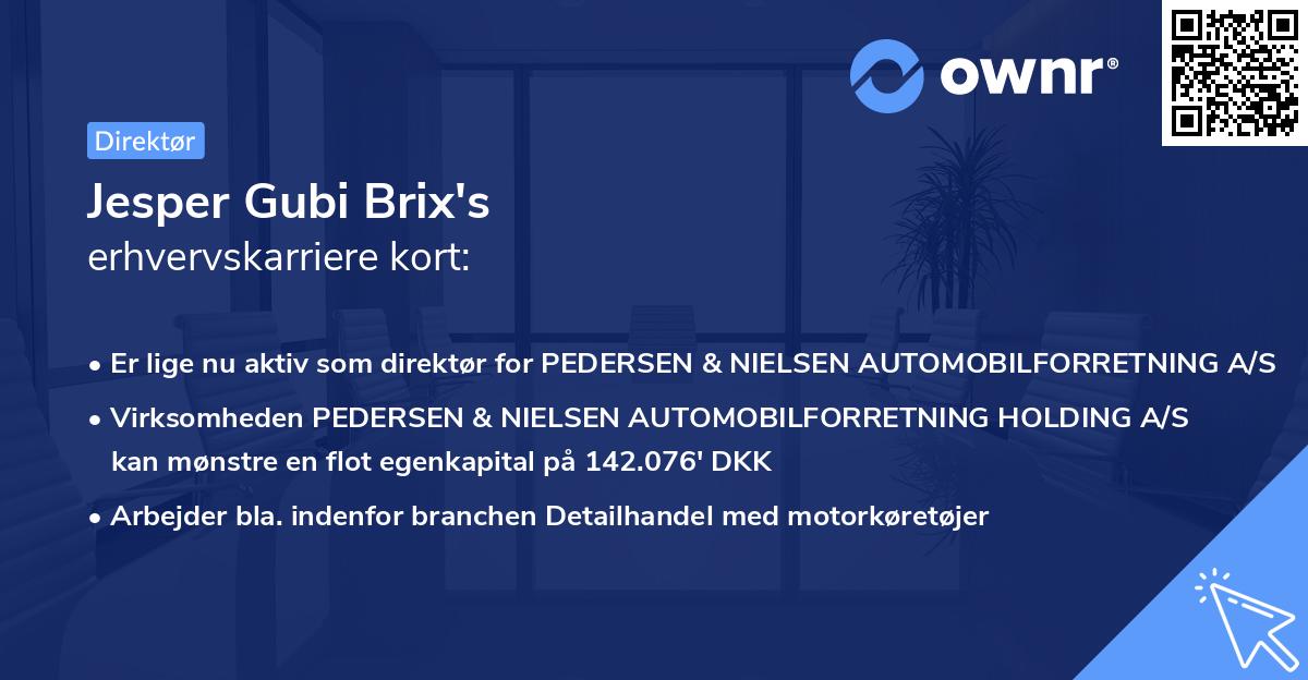 Jesper Gubi Brix's erhvervskarriere kort