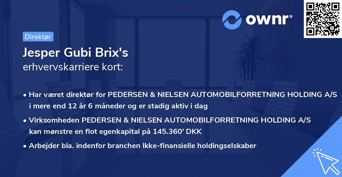Jesper Gubi Brix's erhvervskarriere kort