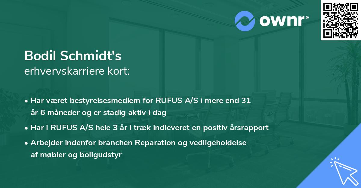 Bodil Schmidt's erhvervskarriere kort