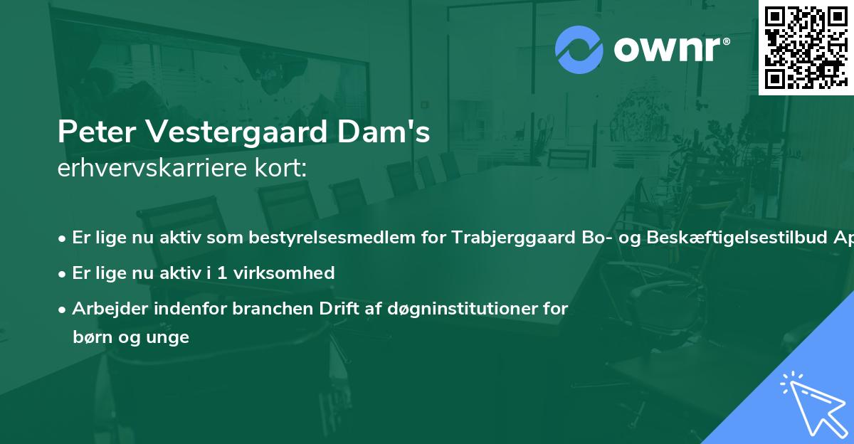 Peter Vestergaard Dam's erhvervskarriere kort