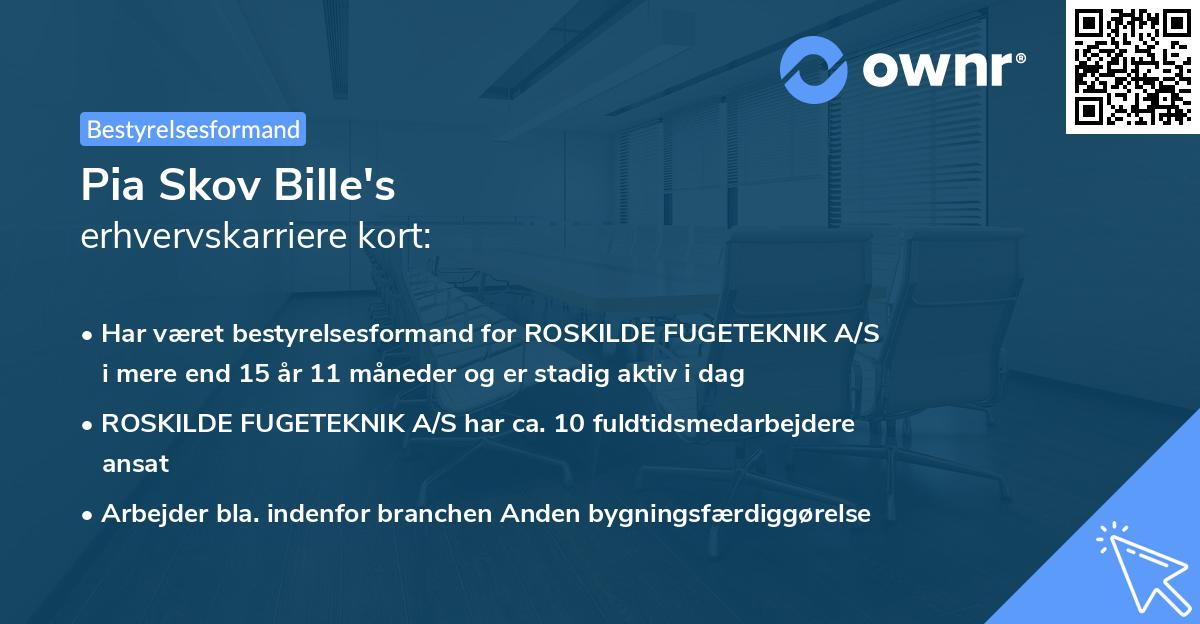 Pia Skov Bille's erhvervskarriere kort