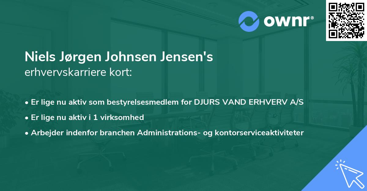 Niels Jørgen Johnsen Jensen's erhvervskarriere kort