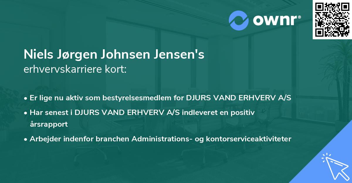 Niels Jørgen Johnsen Jensen's erhvervskarriere kort
