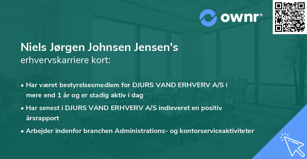 Niels Jørgen Johnsen Jensen's erhvervskarriere kort