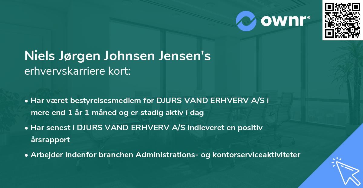 Niels Jørgen Johnsen Jensen's erhvervskarriere kort