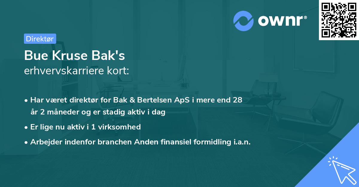 Bue Kruse Bak's erhvervskarriere kort