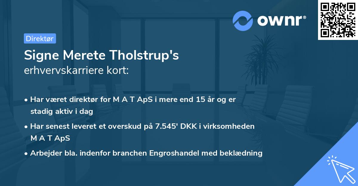 Signe Merete Tholstrup's erhvervskarriere kort