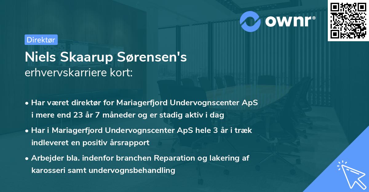 Niels Skaarup Sørensen's erhvervskarriere kort