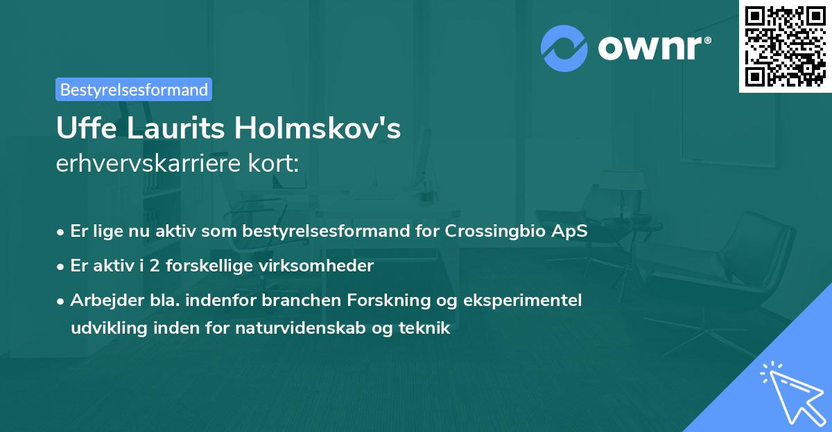 Uffe Laurits Holmskov's erhvervskarriere kort
