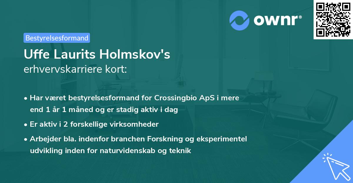 Uffe Laurits Holmskov's erhvervskarriere kort