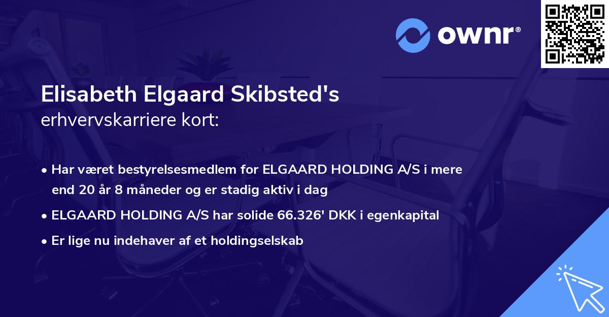 Elisabeth Elgaard Skibsted's erhvervskarriere kort