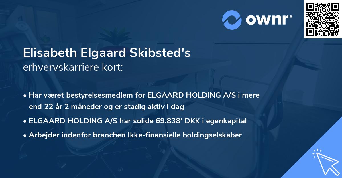Elisabeth Elgaard Skibsted's erhvervskarriere kort