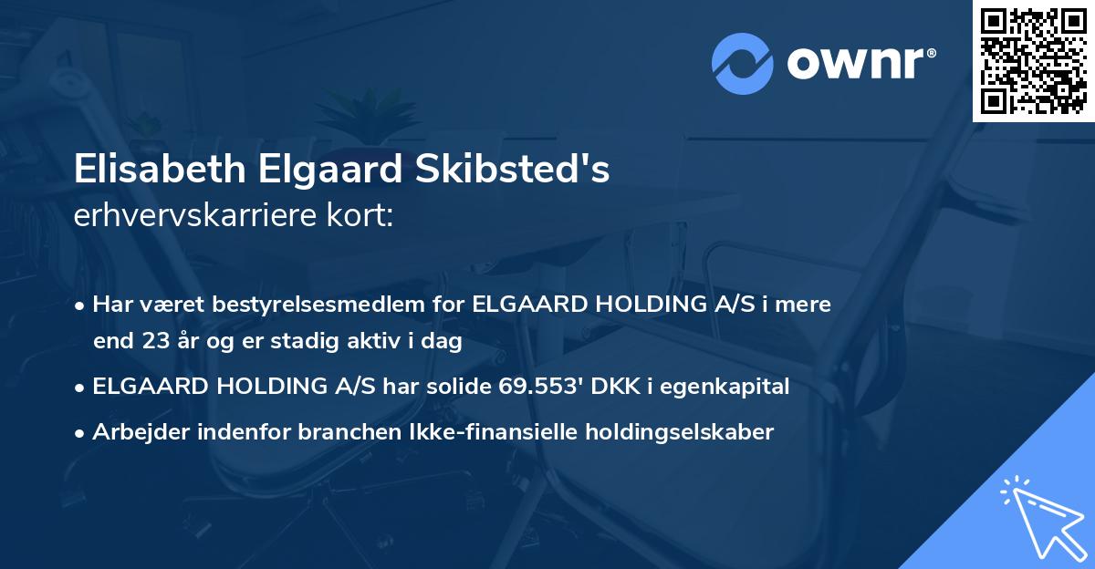 Elisabeth Elgaard Skibsted's erhvervskarriere kort