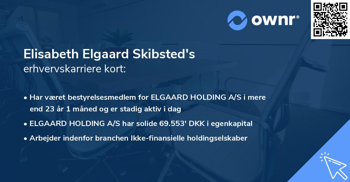 Elisabeth Elgaard Skibsted's erhvervskarriere kort