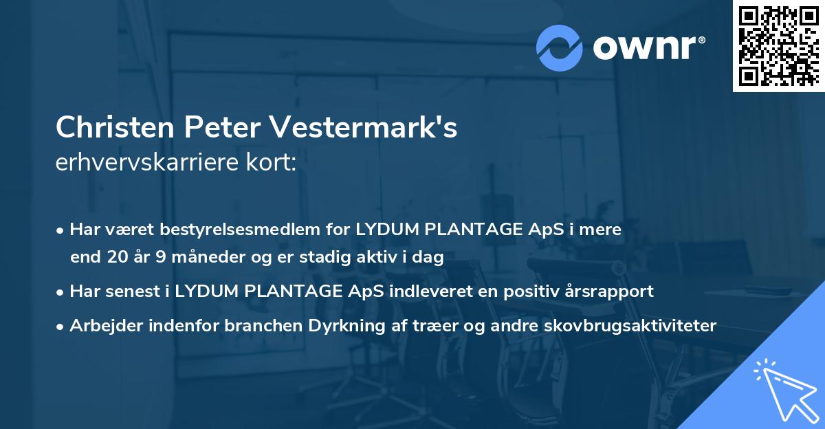 Christen Peter Vestermark's erhvervskarriere kort