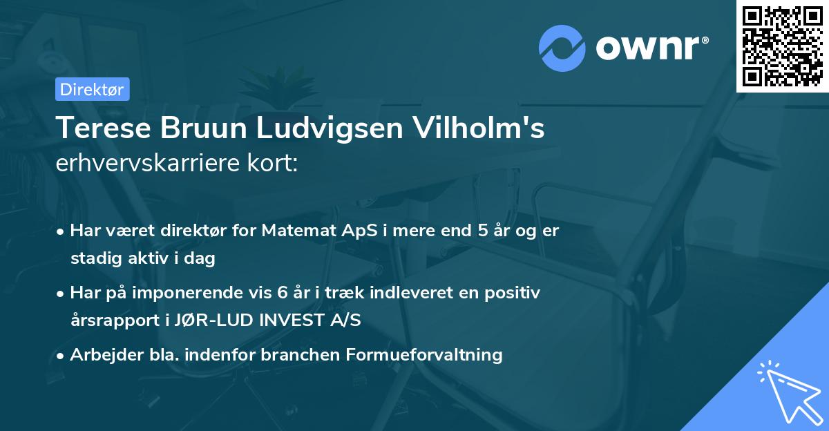 Terese Bruun Ludvigsen Vilholm's erhvervskarriere kort