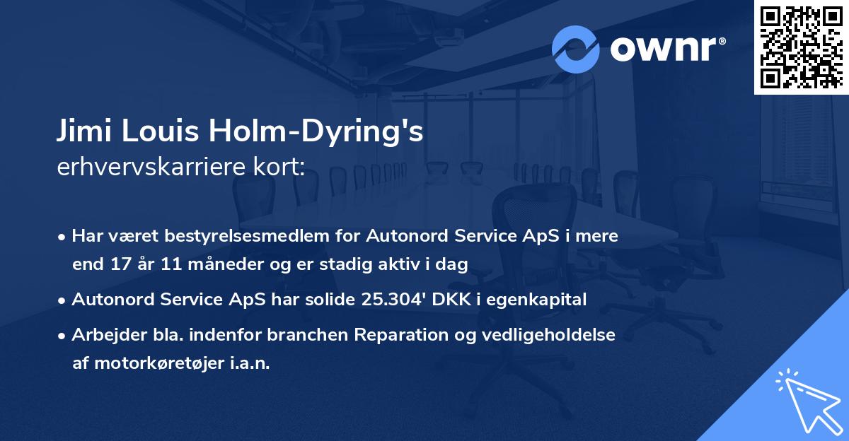 Jimi Louis Holm-Dyring's erhvervskarriere kort