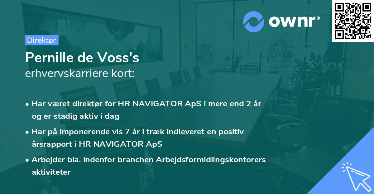 Pernille de Voss's erhvervskarriere kort
