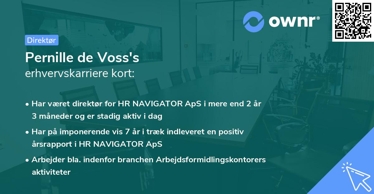Pernille de Voss's erhvervskarriere kort