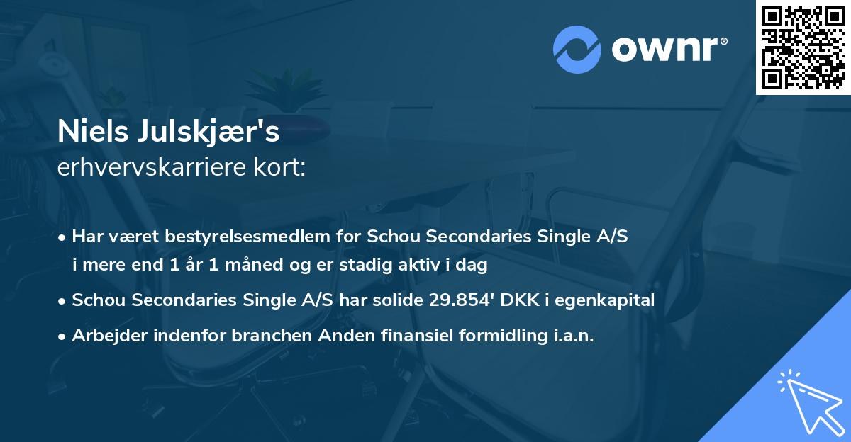 Niels Julskjær's erhvervskarriere kort
