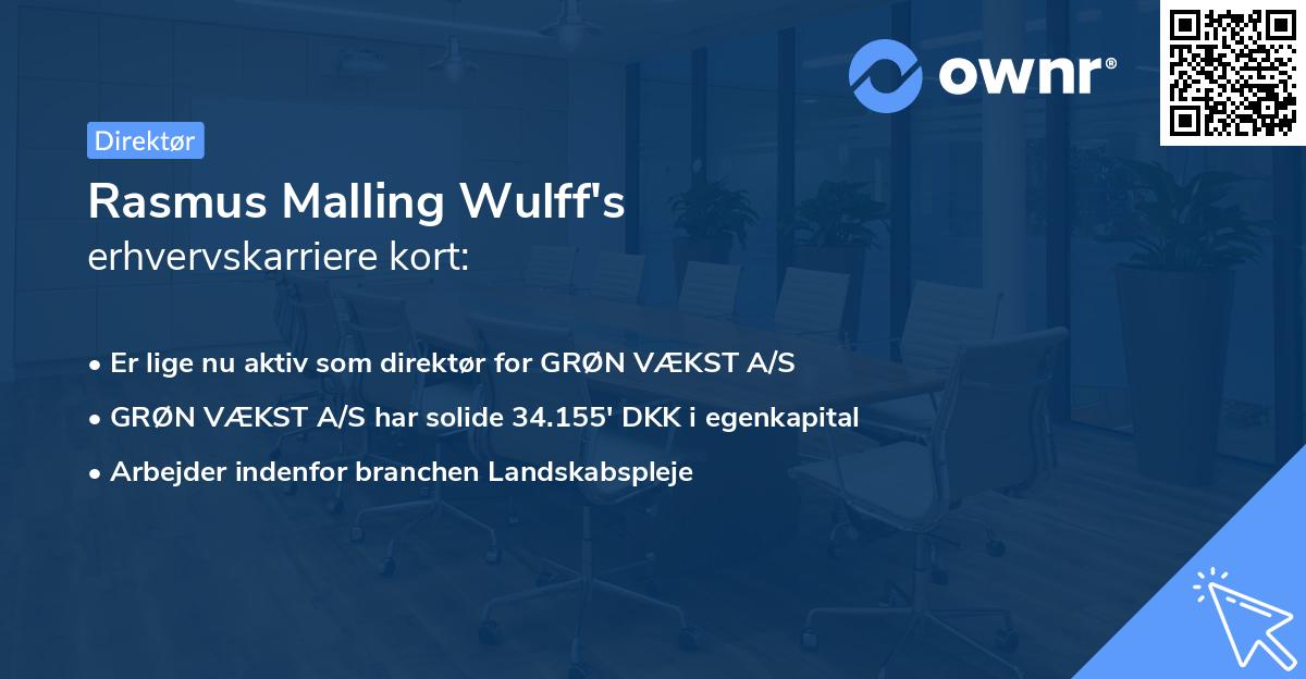 Rasmus Malling Wulff's erhvervskarriere kort