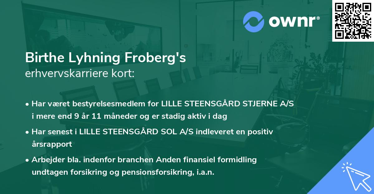 Birthe Lyhning Froberg's erhvervskarriere kort