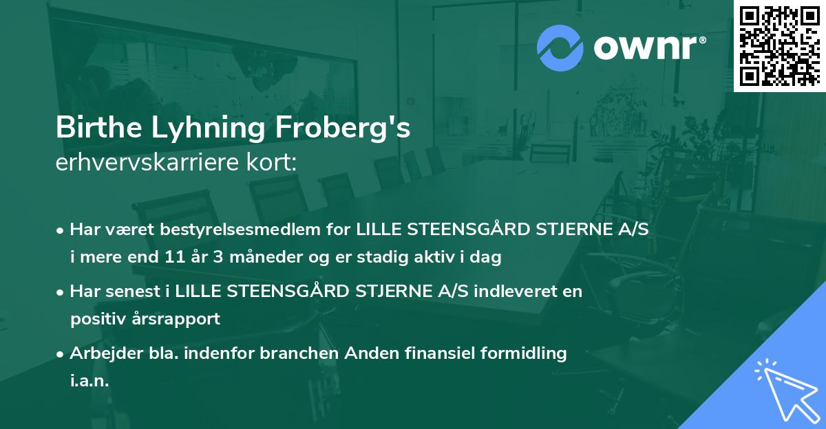 Birthe Lyhning Froberg's erhvervskarriere kort