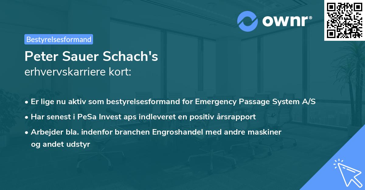 Peter Sauer Schach's erhvervskarriere kort