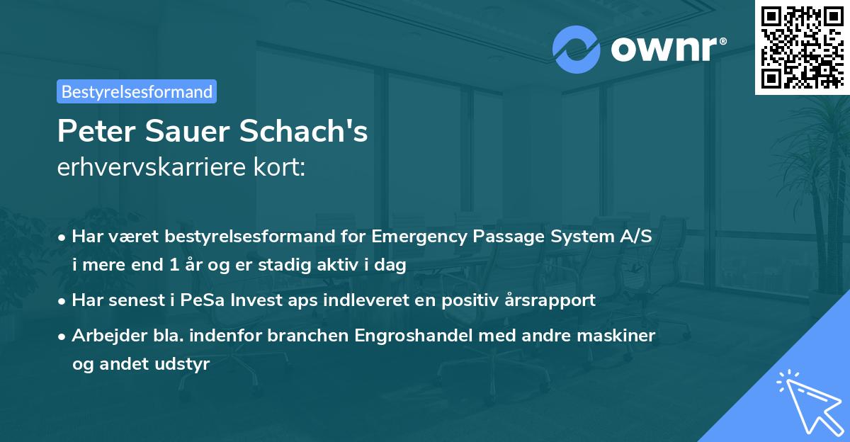 Peter Sauer Schach's erhvervskarriere kort
