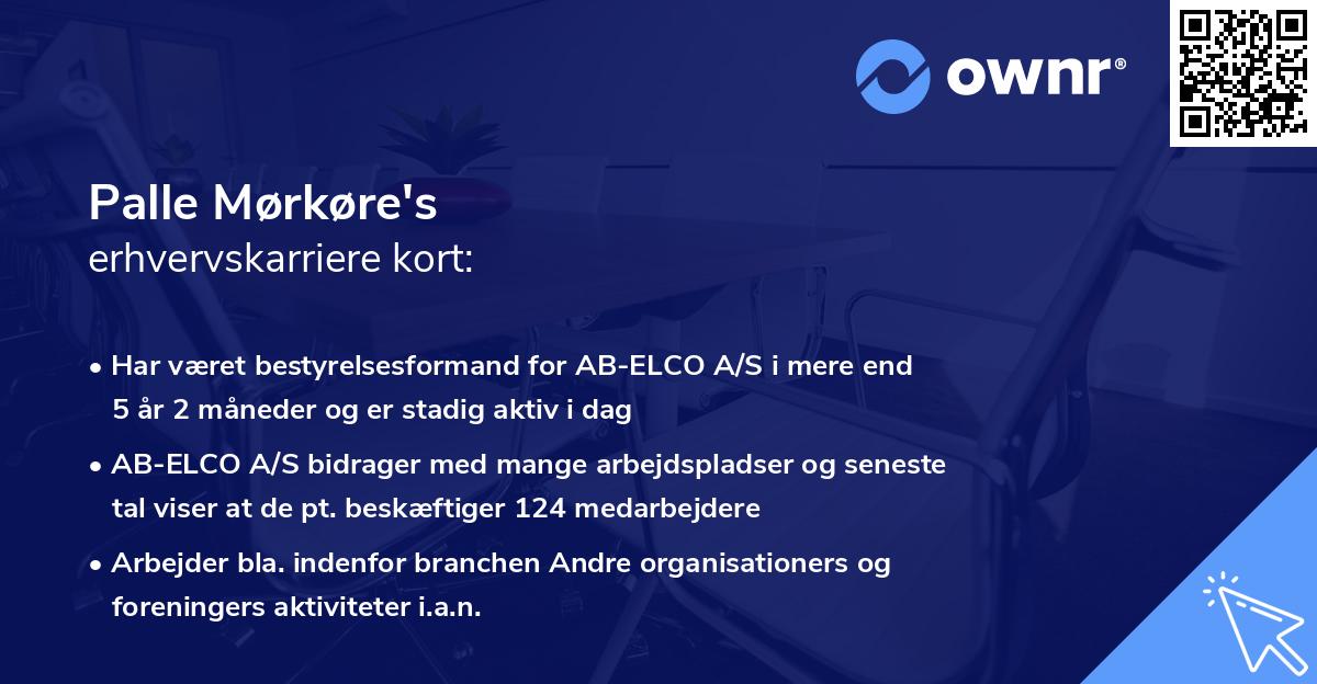 Palle Mørkøre's erhvervskarriere kort