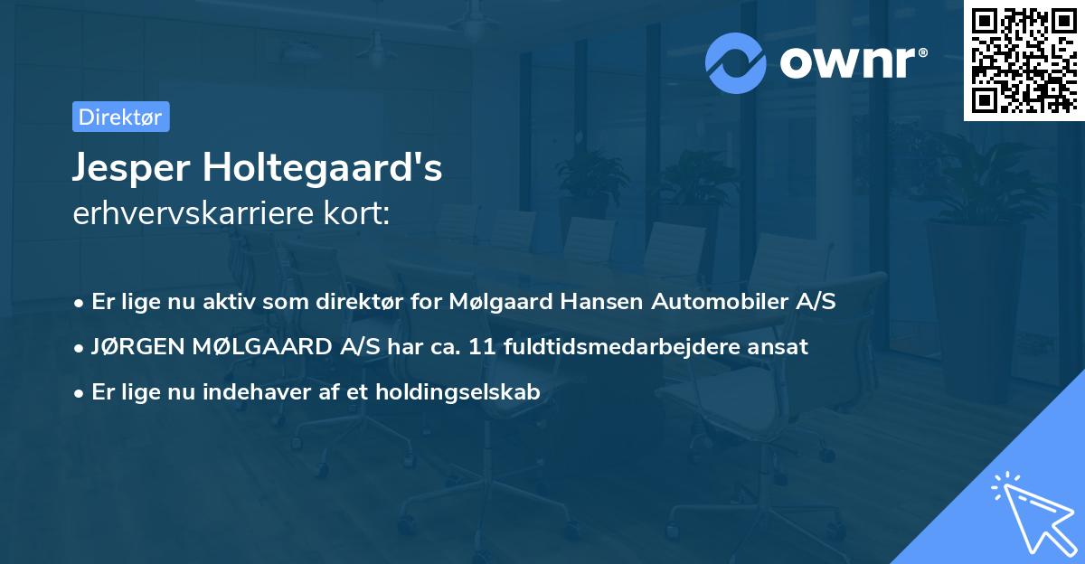 Jesper Holtegaard's erhvervskarriere kort