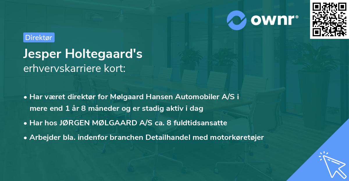 Jesper Holtegaard's erhvervskarriere kort