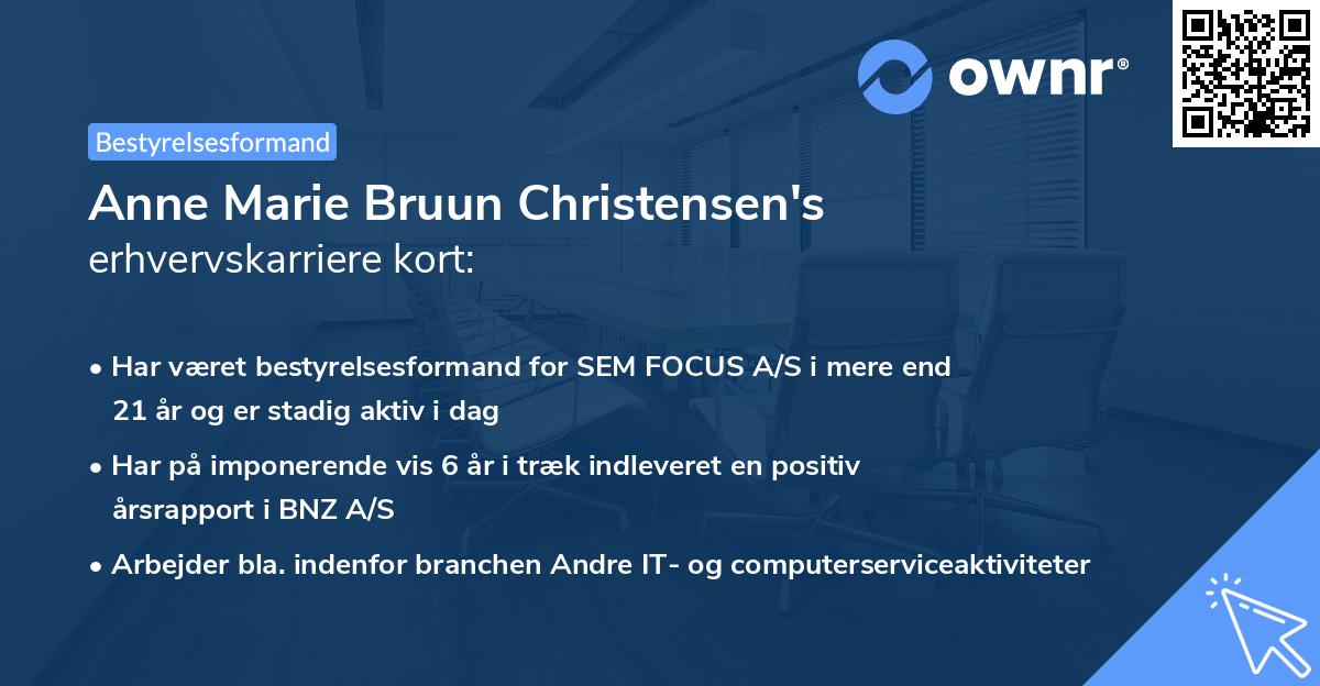 Anne Marie Bruun Christensen's erhvervskarriere kort