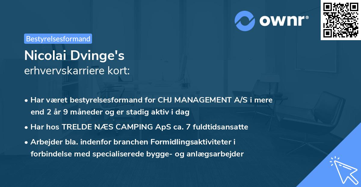 Nicolai Dvinge's erhvervskarriere kort