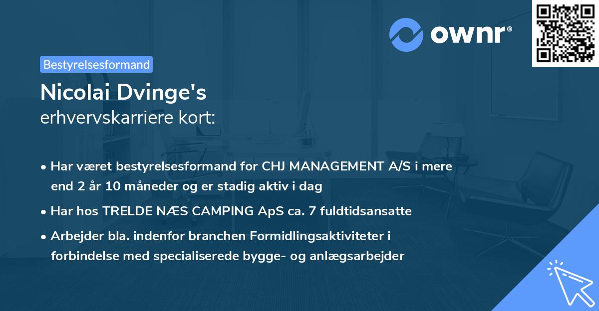 Nicolai Dvinge's erhvervskarriere kort