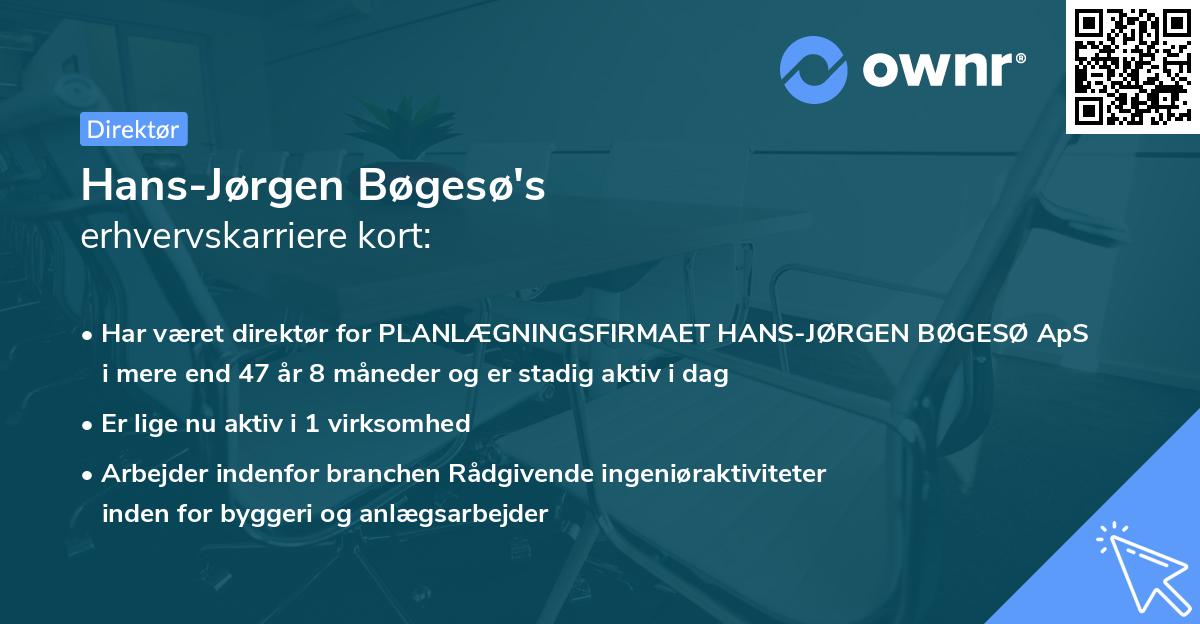 Hans-Jørgen Bøgesø's erhvervskarriere kort
