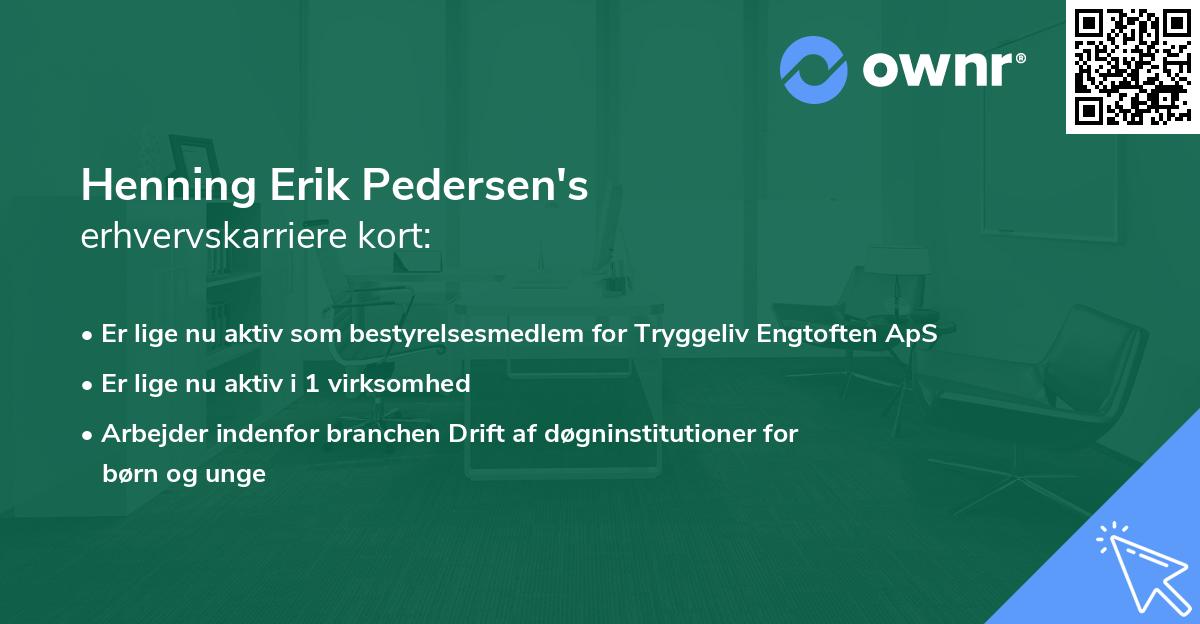Henning Erik Pedersen's erhvervskarriere kort