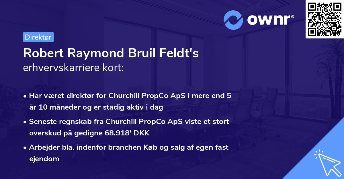 Robert Raymond Bruil Feldt's erhvervskarriere kort