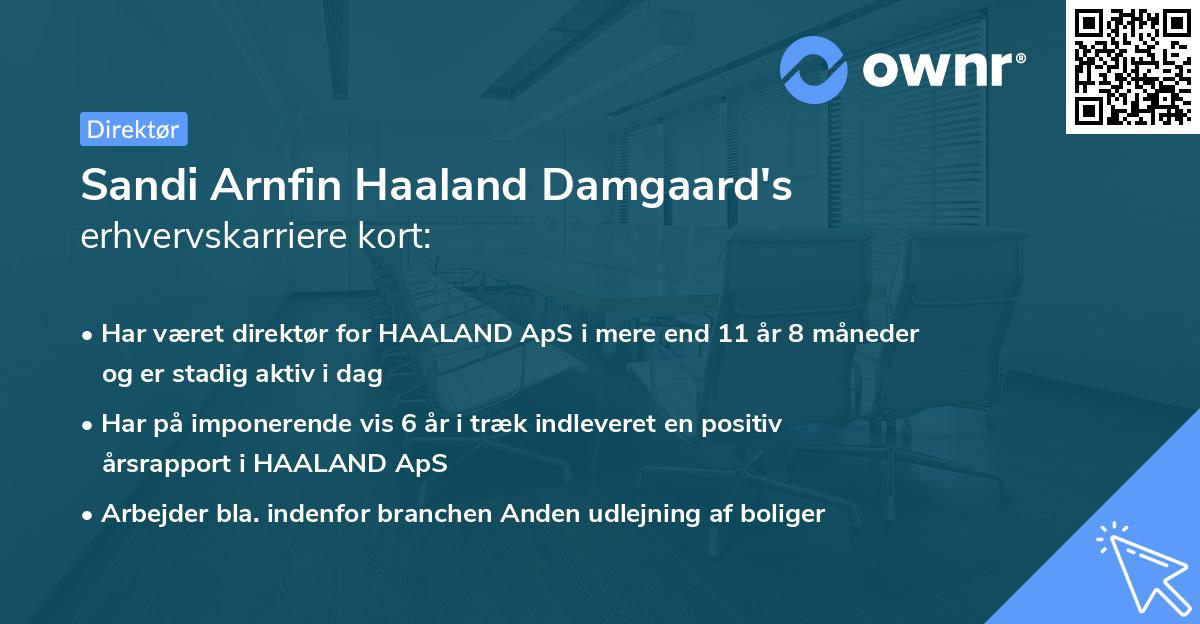 Sandi Arnfin Haaland Damgaard's erhvervskarriere kort