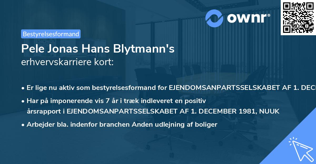 Pele Jonas Hans Blytmann's erhvervskarriere kort