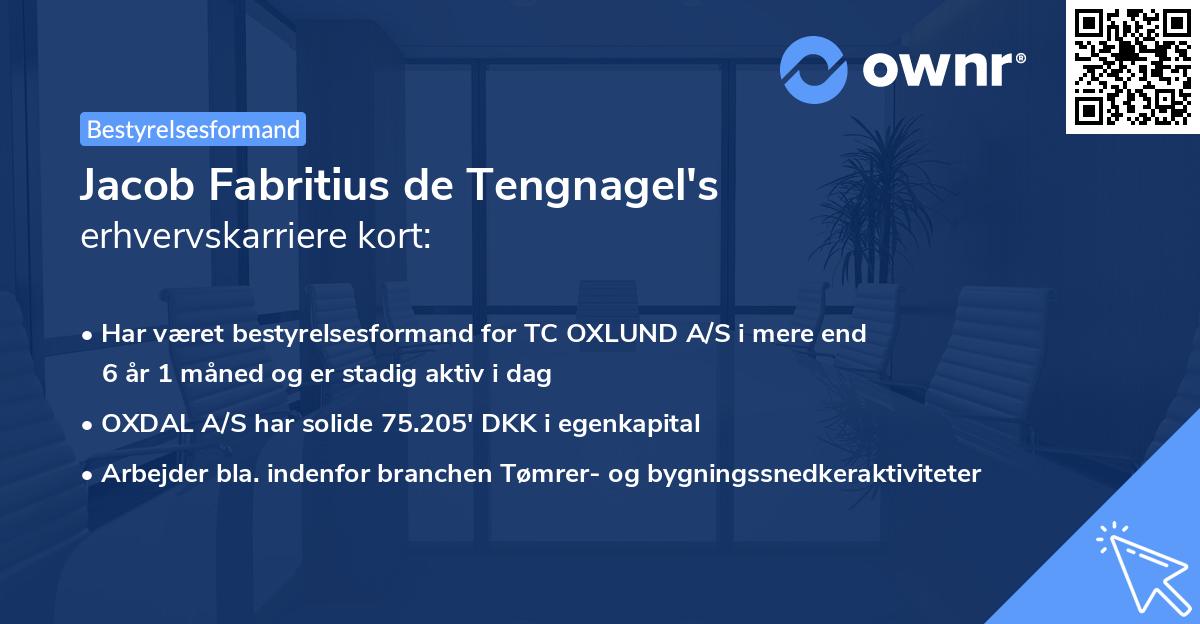 Jacob Fabritius de Tengnagel's erhvervskarriere kort