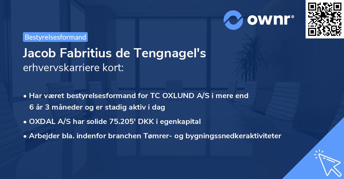 Jacob Fabritius de Tengnagel's erhvervskarriere kort