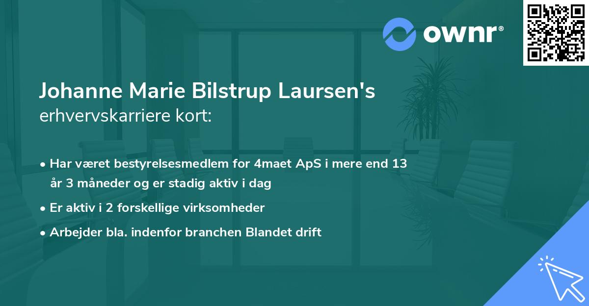 Johanne Marie Bilstrup Laursen's erhvervskarriere kort