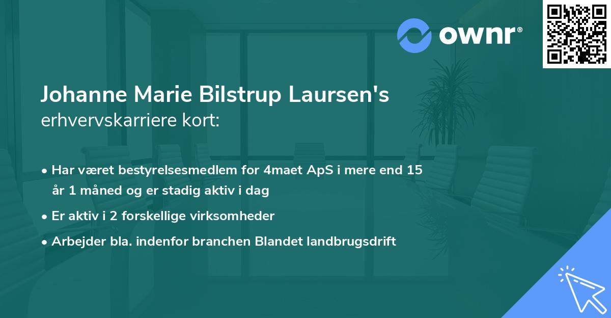 Johanne Marie Bilstrup Laursen's erhvervskarriere kort