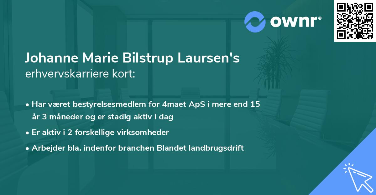 Johanne Marie Bilstrup Laursen's erhvervskarriere kort